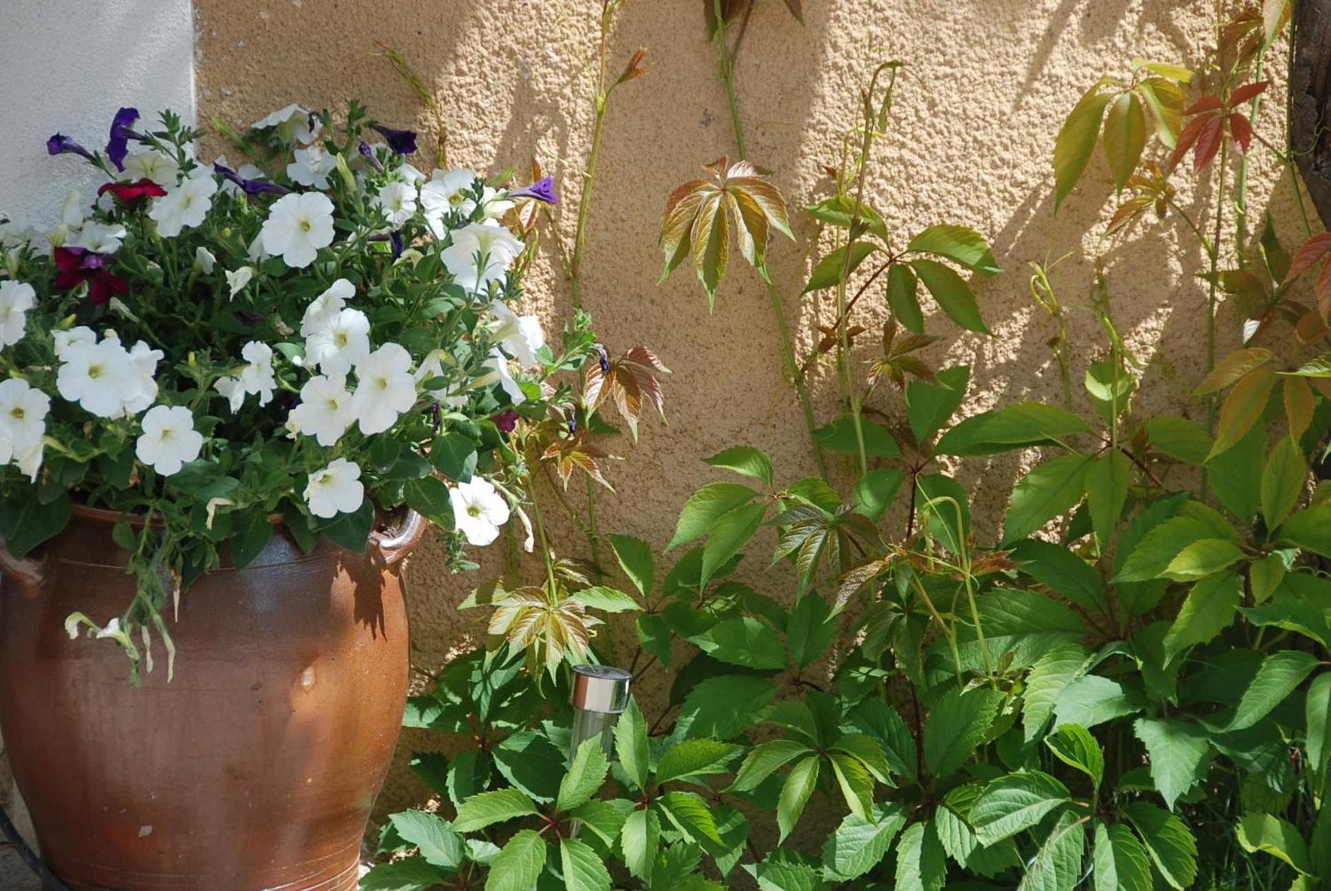 Le Domaine Saint Jean Bed and Breakfast Exteriör bild